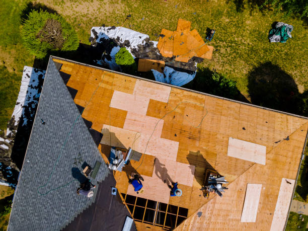 Best Flat Roof Repair Services  in Flat Rock, MI