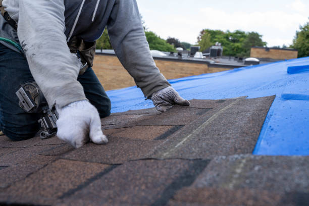 Best Best Roofing Contractors  in Flat Rock, MI