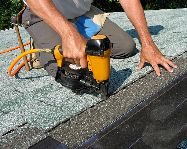 Best Storm Damage Roof Repair  in Flat Rock, MI