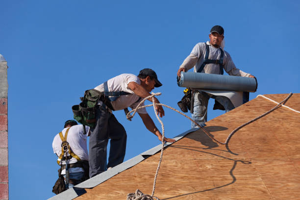 Best Commercial Roof Installation  in Flat Rock, MI