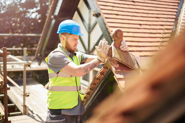 Best Roof Repair Services  in Flat Rock, MI